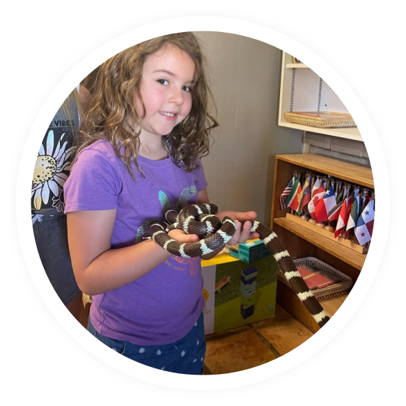 Cave Creek Montessori | Programs Cave Creek Montessori | Programs