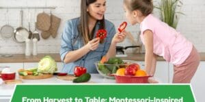 From Harvest to Table: Montessori-Inspired Thanksgiving Lessons You Can Do at Home